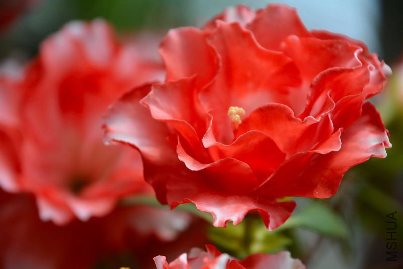 DSC_82680221.JPG