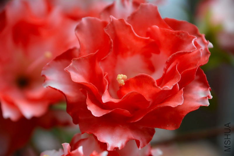 DSC_82670220.JPG