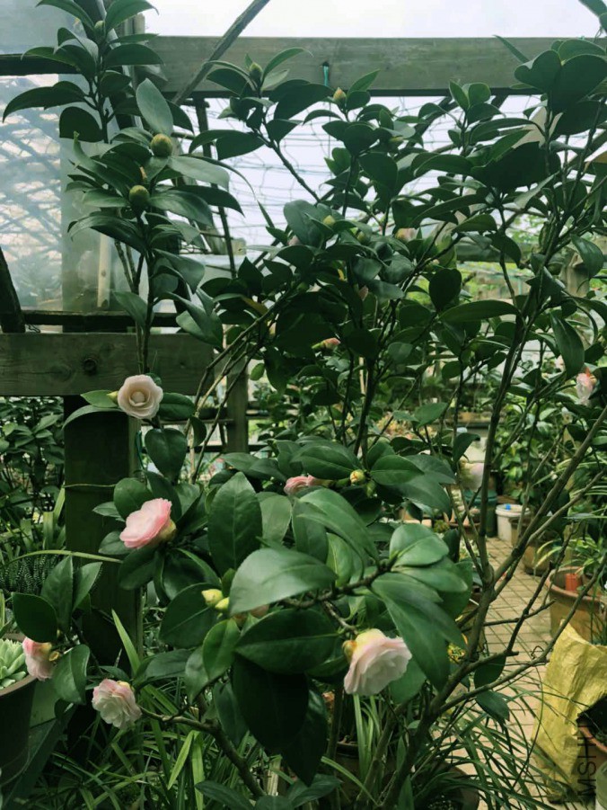 ������_20190410.jpg