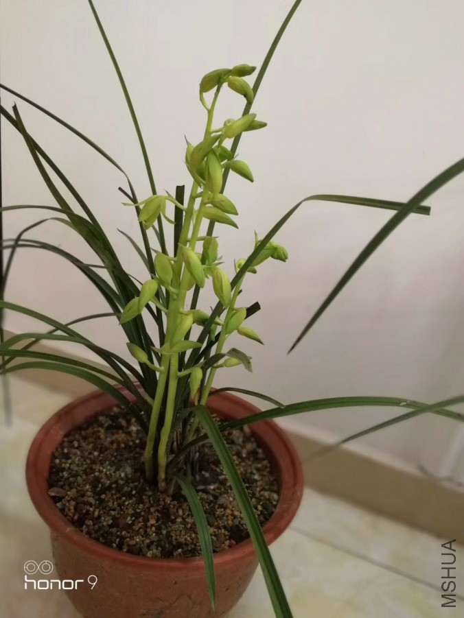 ΢��ͼƬ_20190410182026.jpg