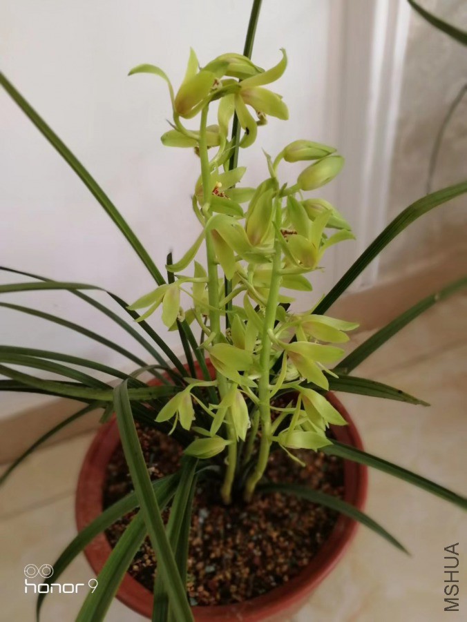 ΢��ͼƬ_20190410182031.jpg