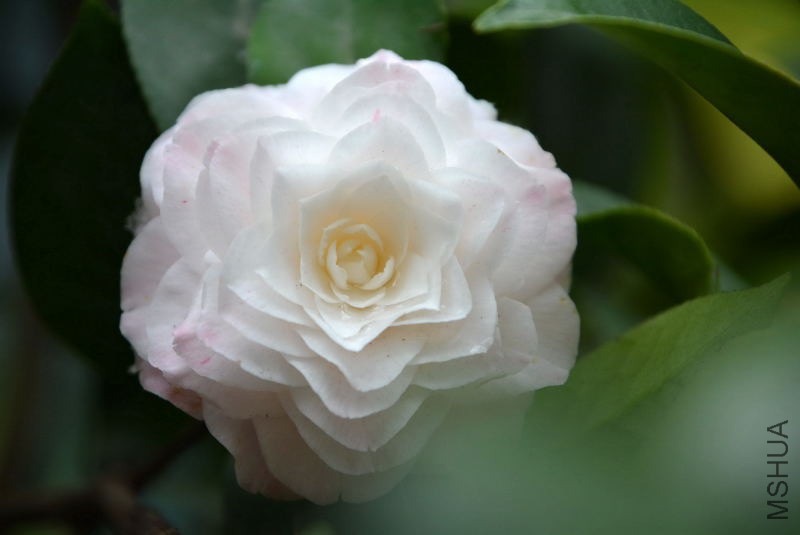 DSC_92360574.JPG