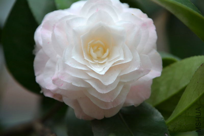 DSC_92290567.JPG