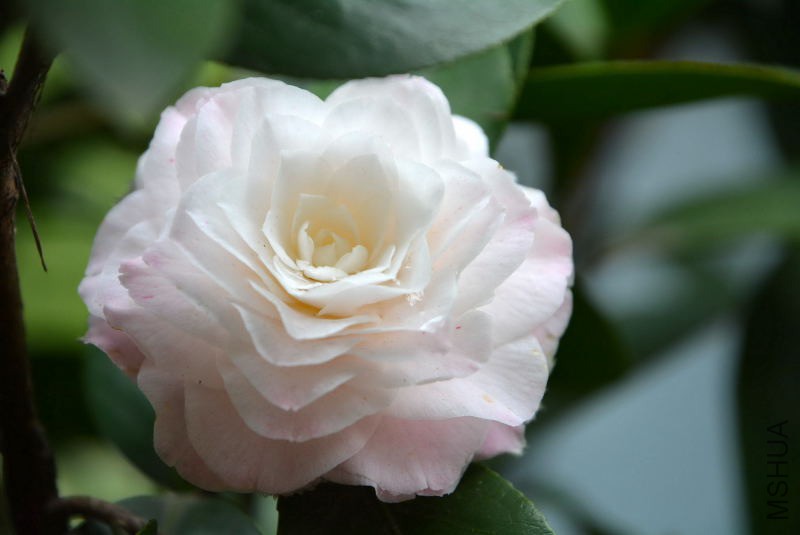 DSC_92260564.JPG