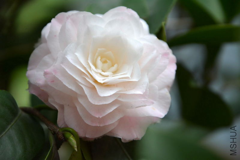 DSC_92070545.JPG