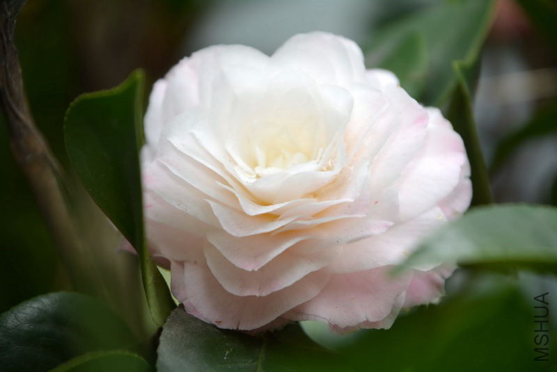 DSC_92010539.JPG