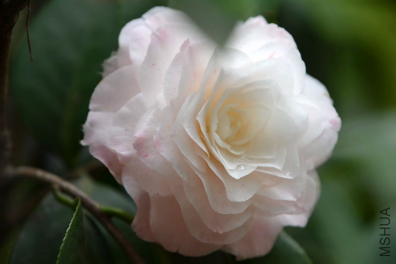 DSC_92100548.JPG