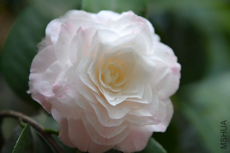 DSC_92110549.JPG