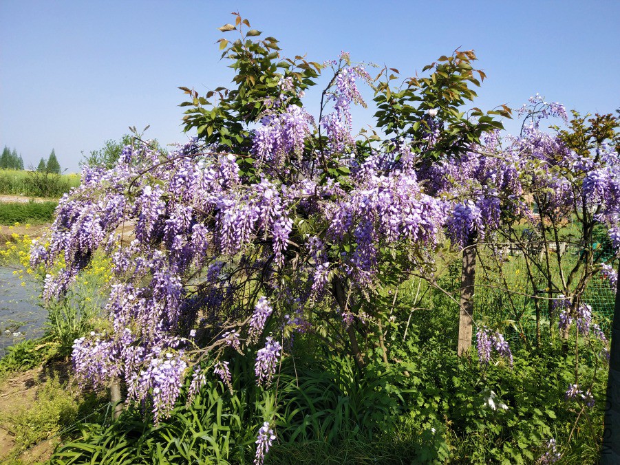 IMG_20190407_092422.jpg