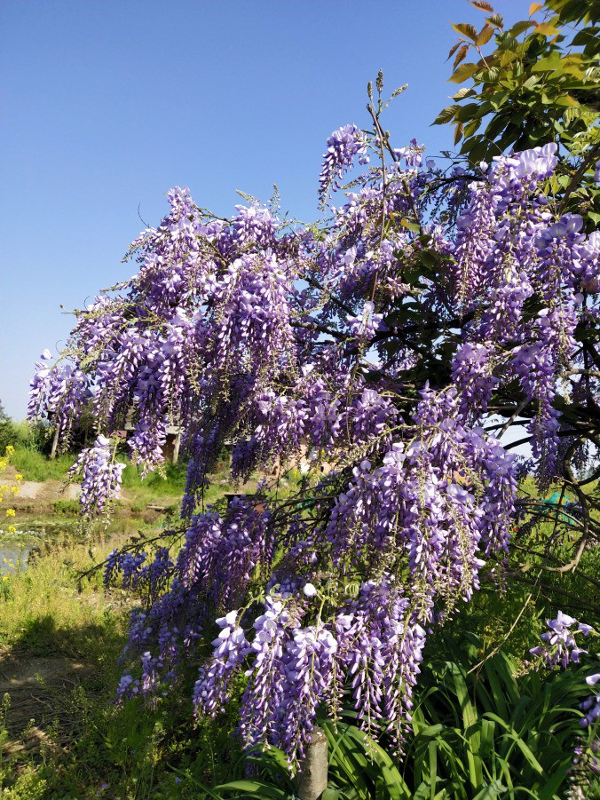 IMG_20190407_092526.jpg