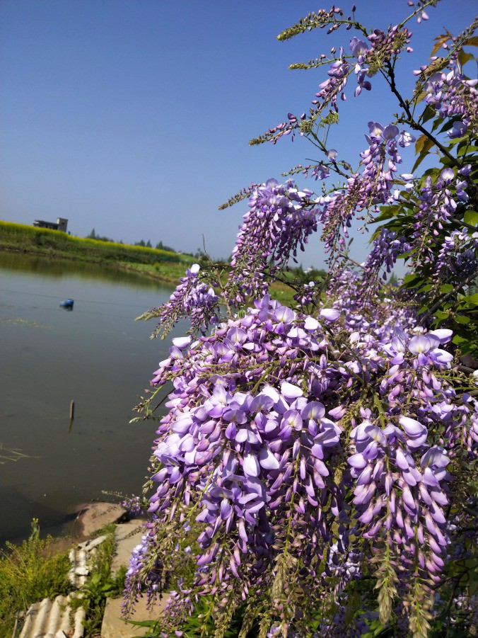 IMG_20190407_092631.jpg