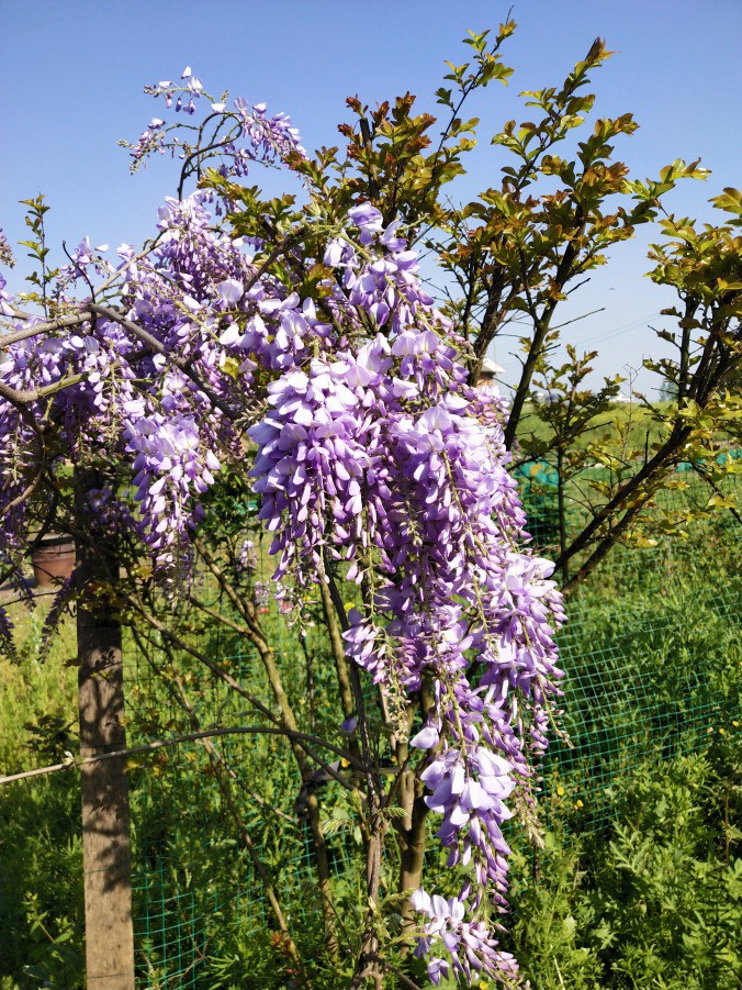 IMG_20190407_092645.jpg