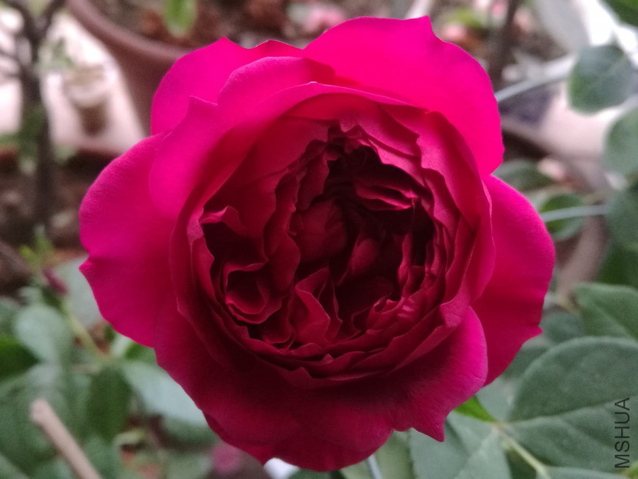 IMG_20190411_075954.jpg