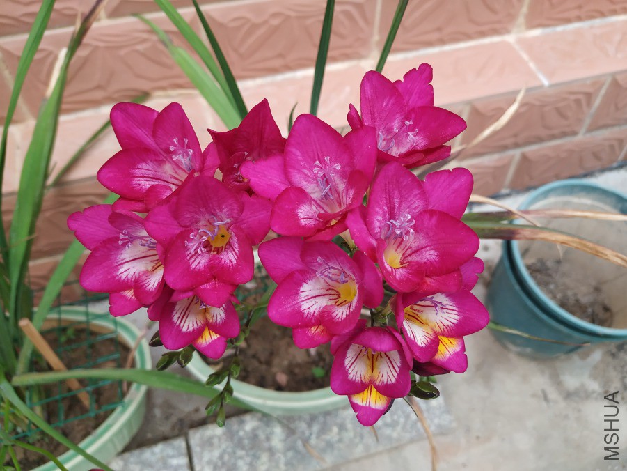 ���ڴ�45�������С��