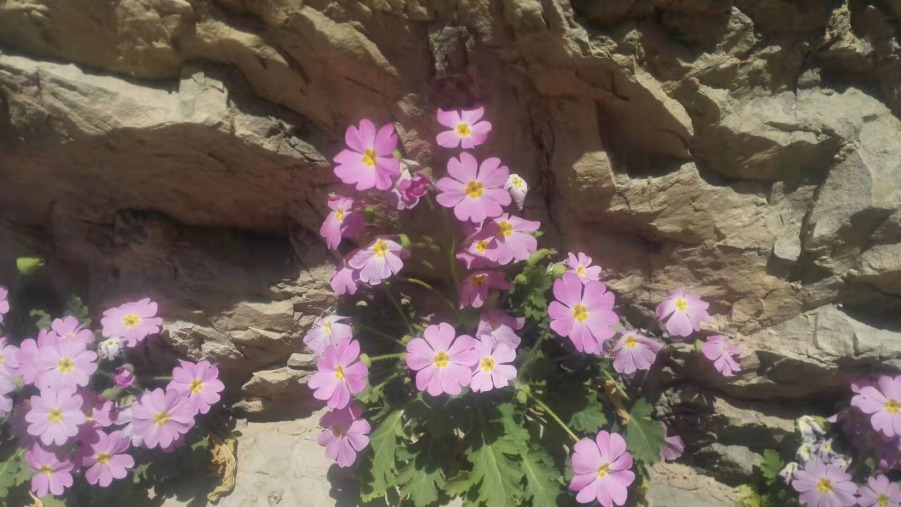 ΢��ͼƬ_20190411084333.jpg