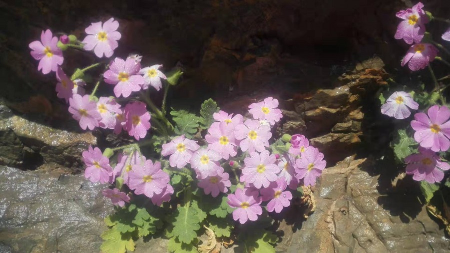 ΢��ͼƬ_20190411084327.jpg