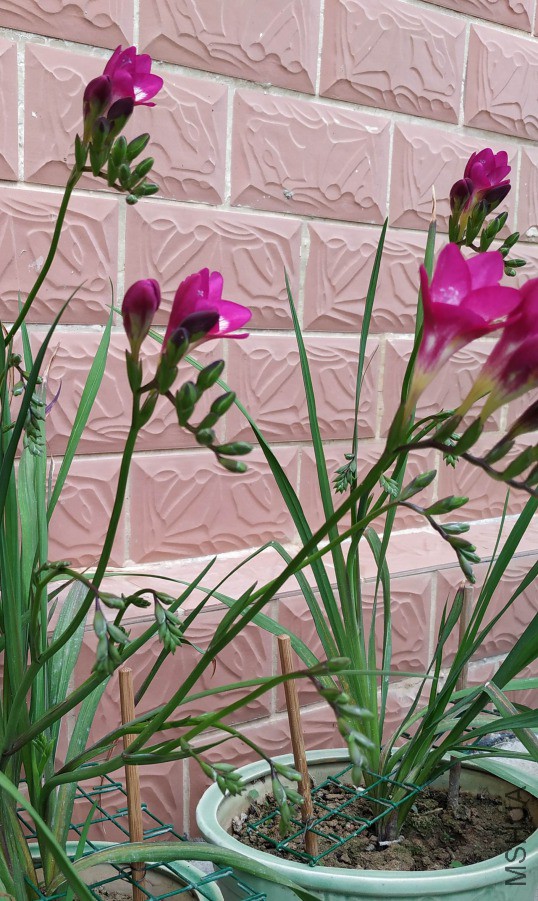 ���Ҳ��Ϸ��Ƕ�