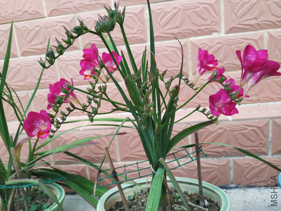 3.24����ʢ��