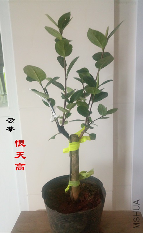 IMG_20190411_082532_����.jpg