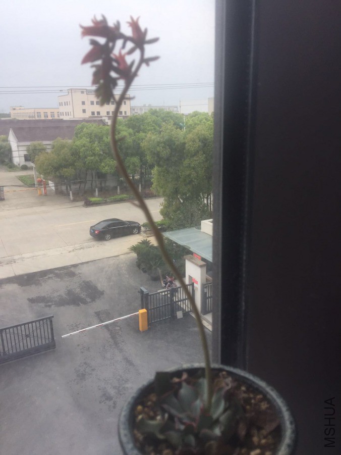 ΢��ͼƬ_20190411123144.jpg