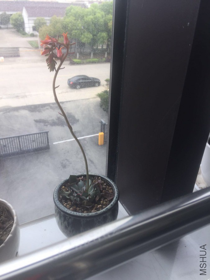 ΢��ͼƬ_20190411123138.jpg