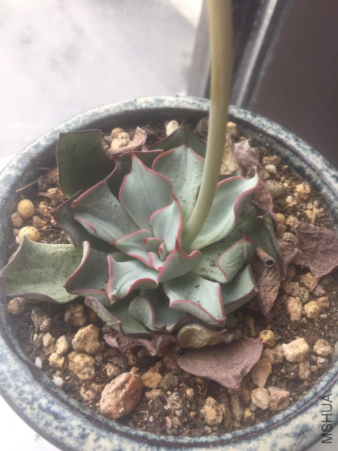 ΢��ͼƬ_20190411123148.jpg