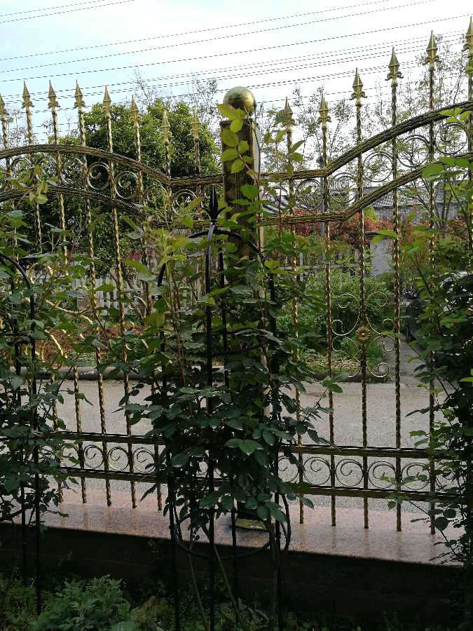 IMG_20190411_162251.jpg