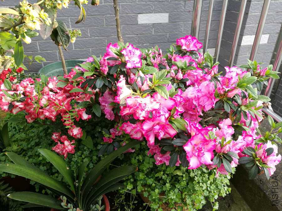 IMG_20190411_165040.jpg