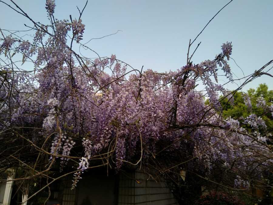 IMG_20190411_175111.jpg