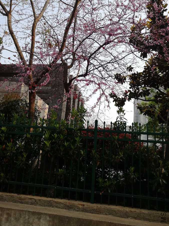 IMG_20190412_075006.jpg