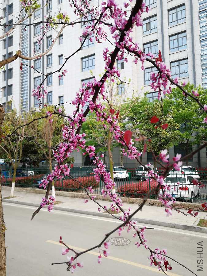 IMG_20190411_174501.jpg
