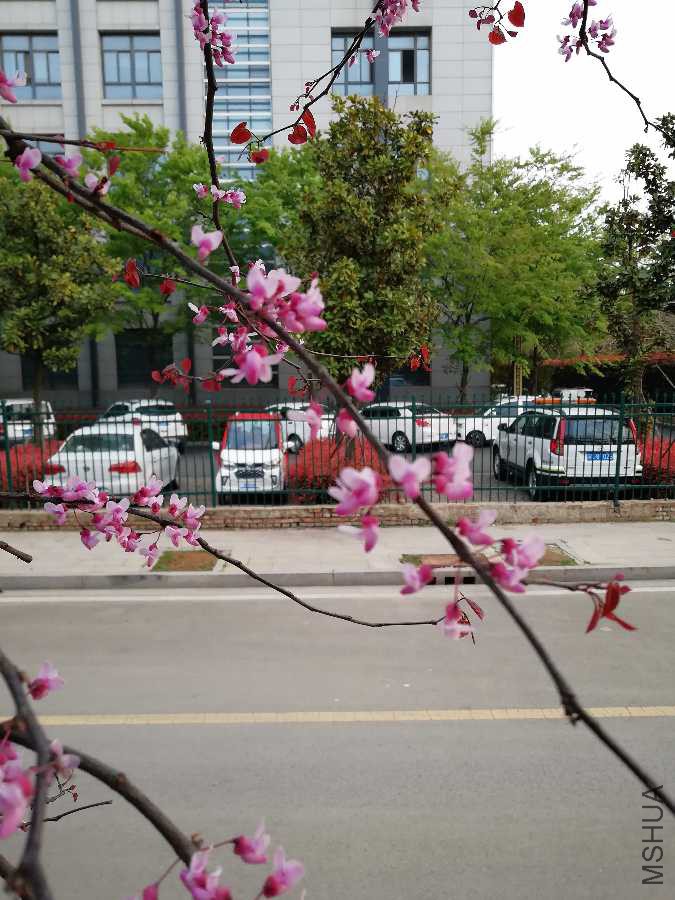 IMG_20190411_174509.jpg