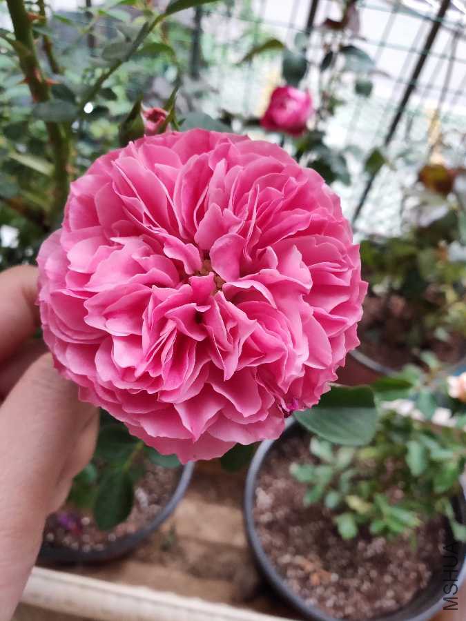 IMG20190412095541.jpg