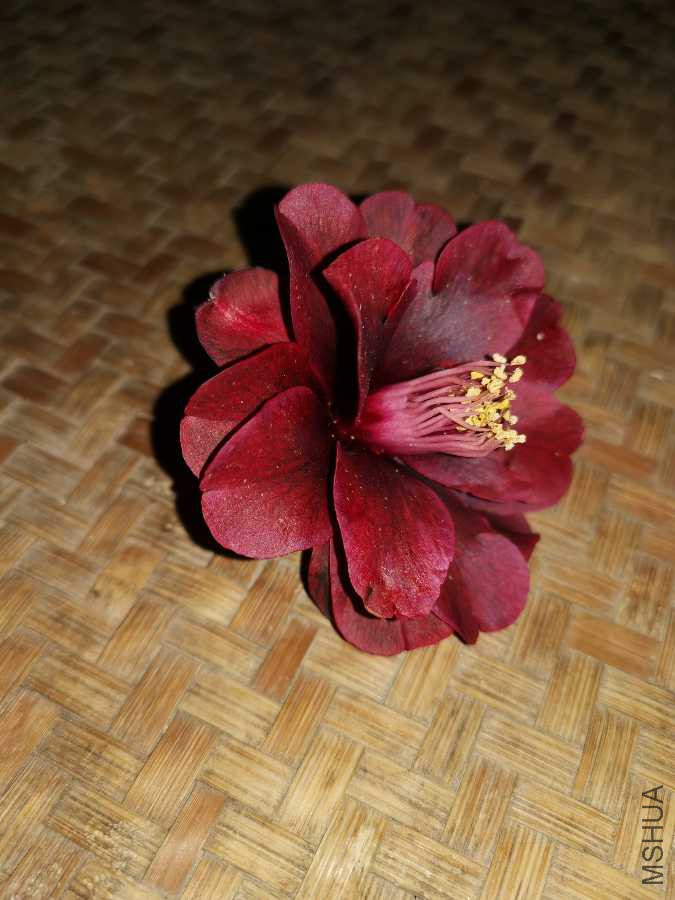 IMG_20190412_105056.jpg