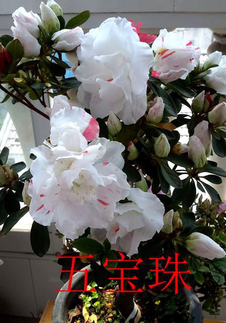 20190408_105542_����.jpg