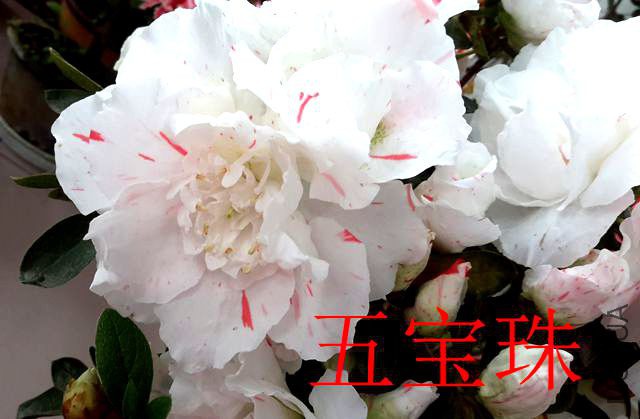 20190411_131019_����.jpg