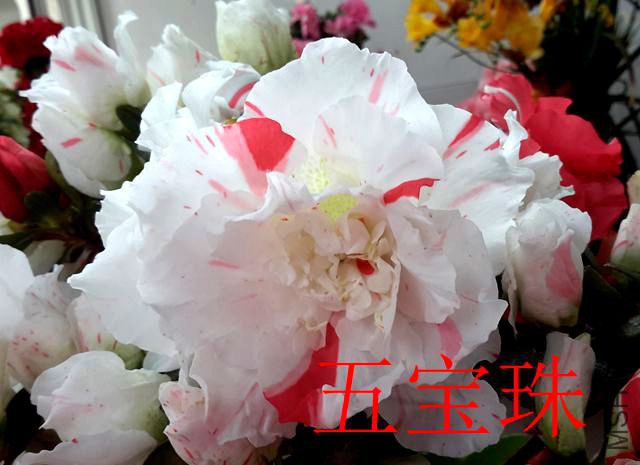 20190411_131002_����.jpg