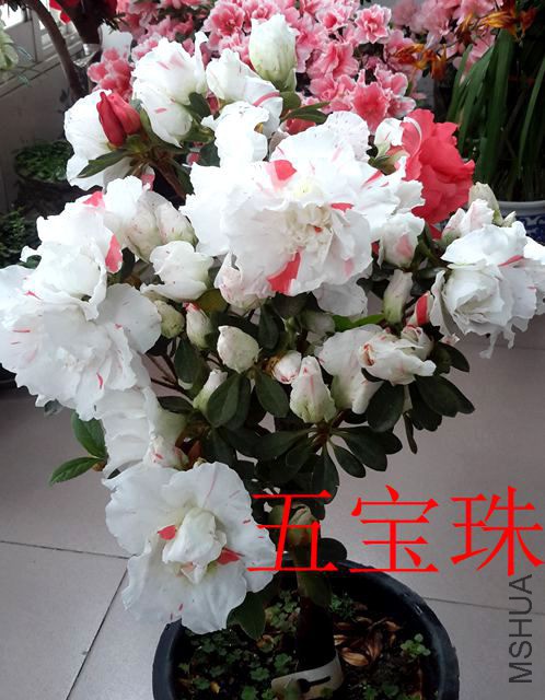 20190411_130952_����.jpg