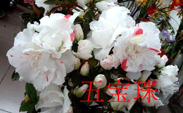 20190411_131012_����.jpg