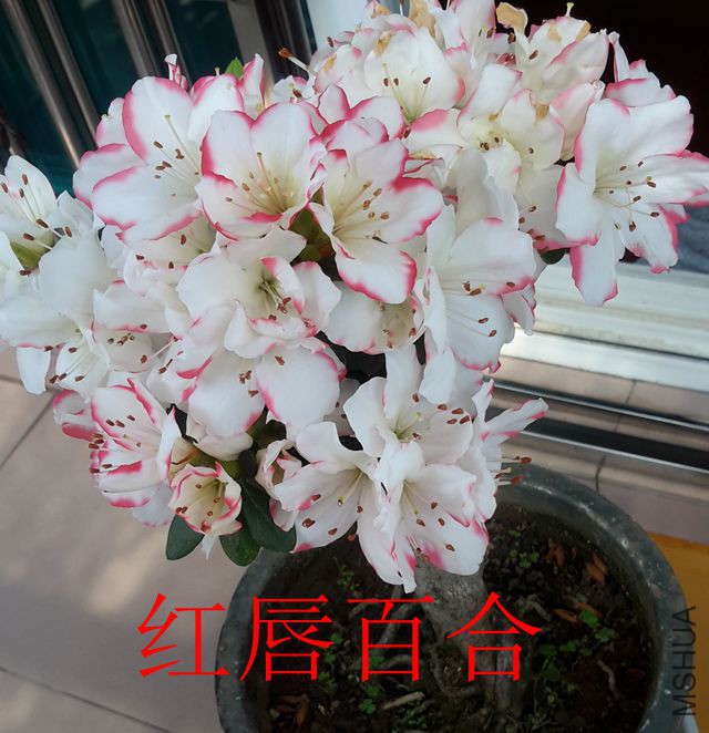 20190408_105230_����.jpg