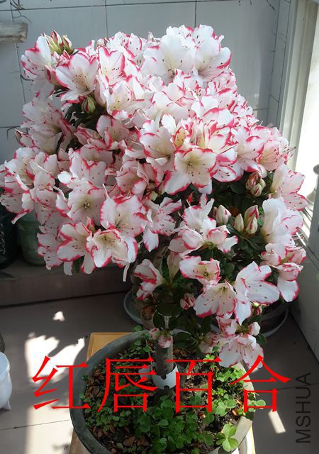 20190408_105325_����.jpg