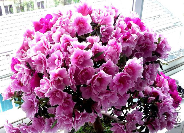 20190411_131158_����.jpg