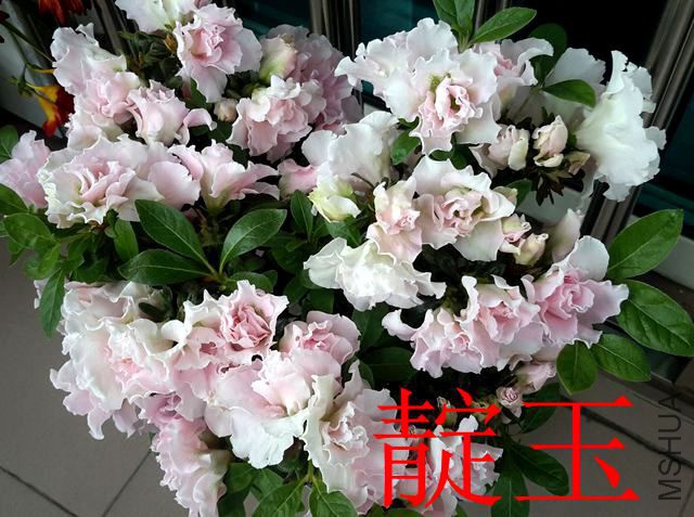 20190411_131108_����.jpg