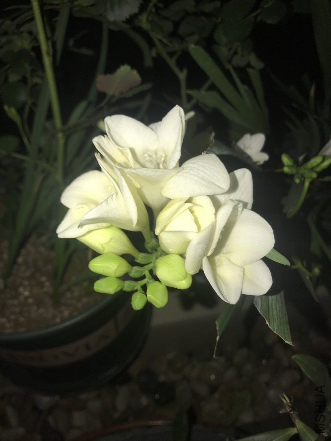 005����.JPG