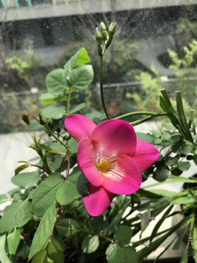 009��ɫ����.JPG