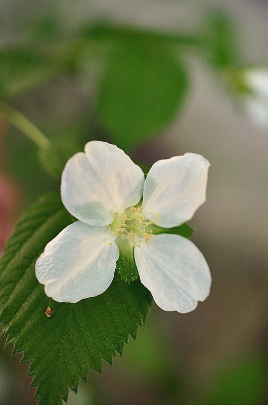 Ǿޱ�ư׻����3.JPG