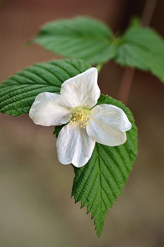 Ǿޱ�ư׻����2.JPG