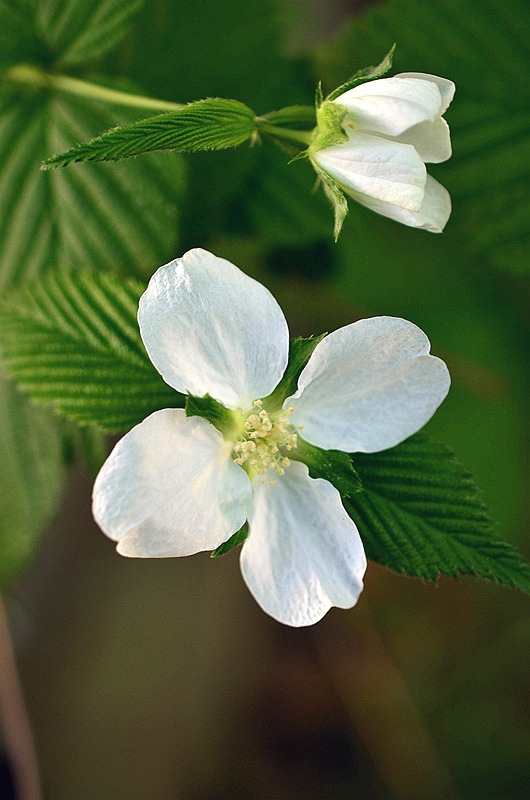 Ǿޱ�ư׻����4.JPG