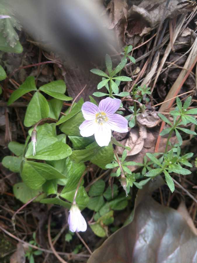 IMG20190412130348.jpg