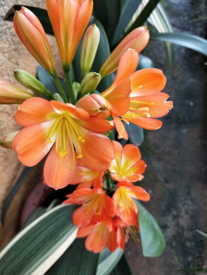 IMG20190413074915.jpg